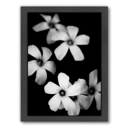 New Beginnings by Ingrid Beddoes Framed Print - Americanflat