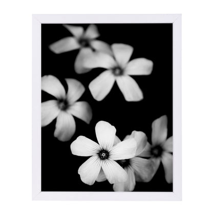 New Beginnings by Ingrid Beddoes Framed Print - Americanflat