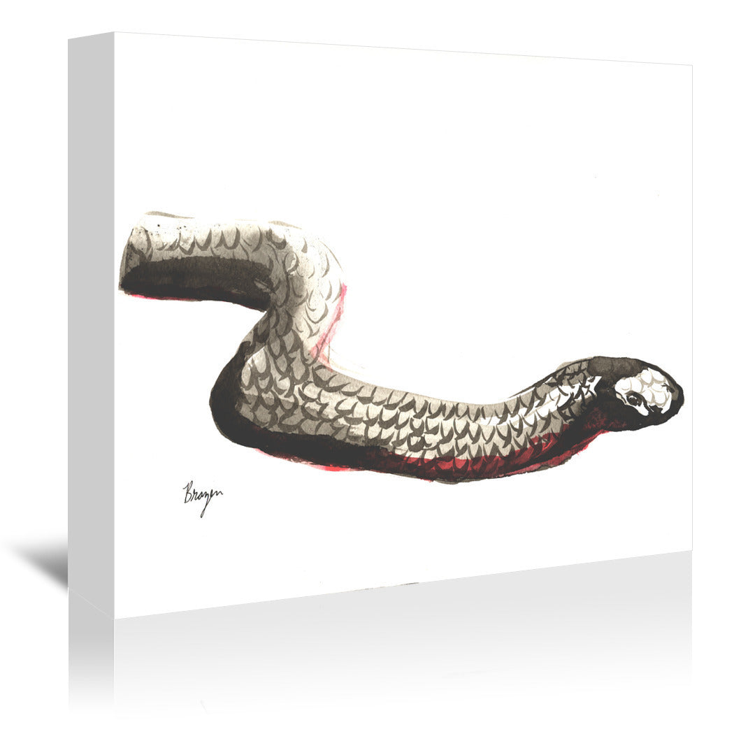 Red Bellied Black Snake by Brazen Design Studio Wrapped Canvas - Wrapped Canvas - Americanflat