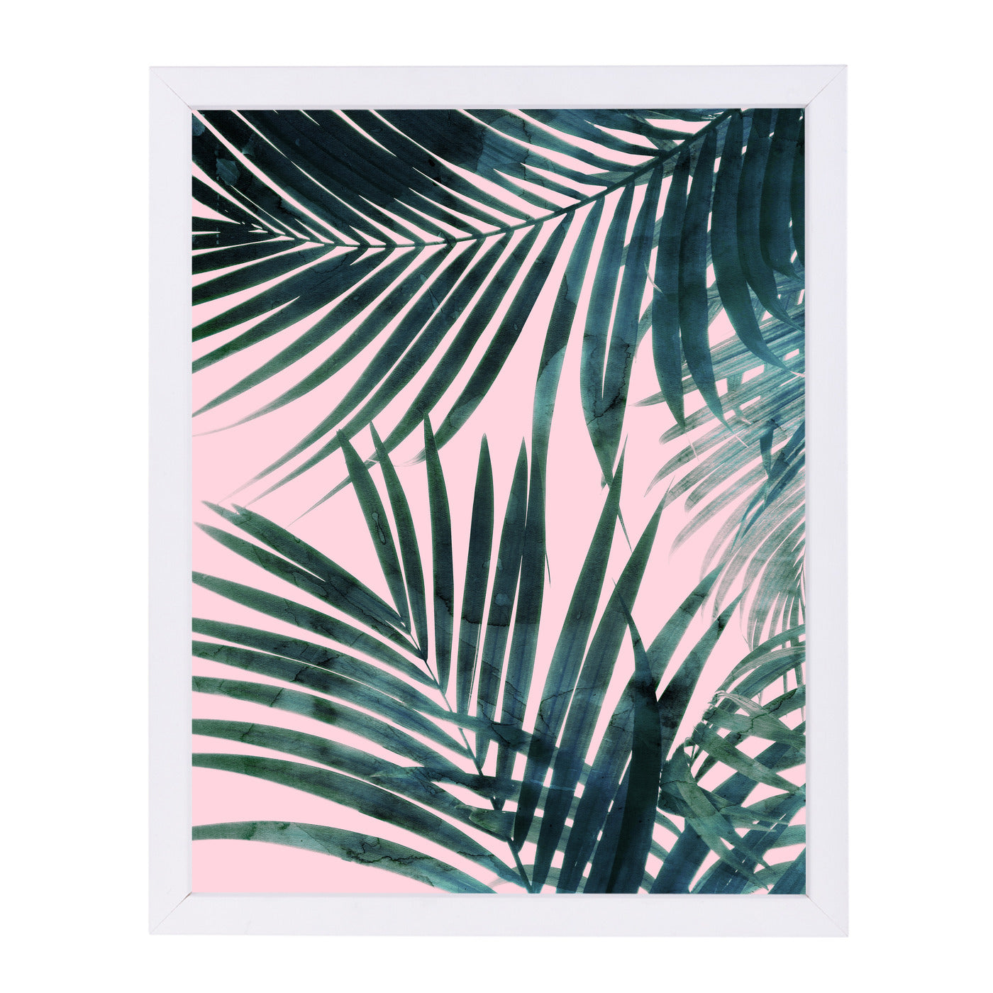 Delicate Jungle by Emanuela Carratoni Framed Print - Americanflat
