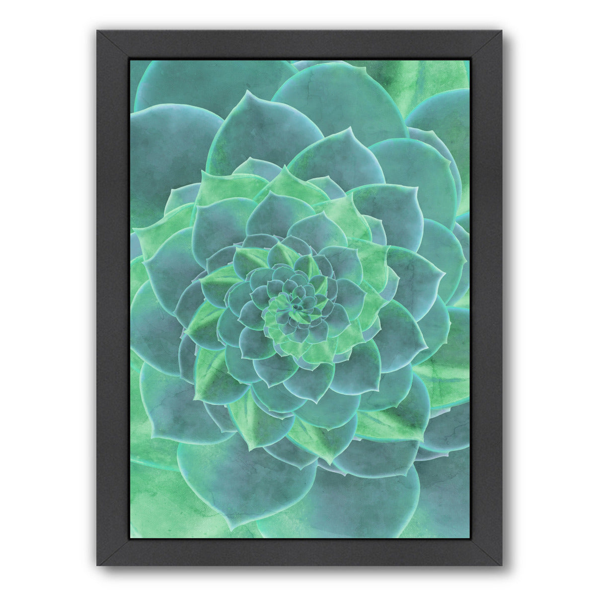 Geometric Succulent by Emanuela Carratoni Framed Print - Americanflat