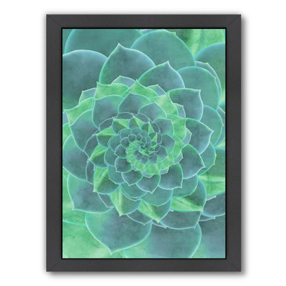 Geometric Succulent by Emanuela Carratoni Framed Print - Americanflat
