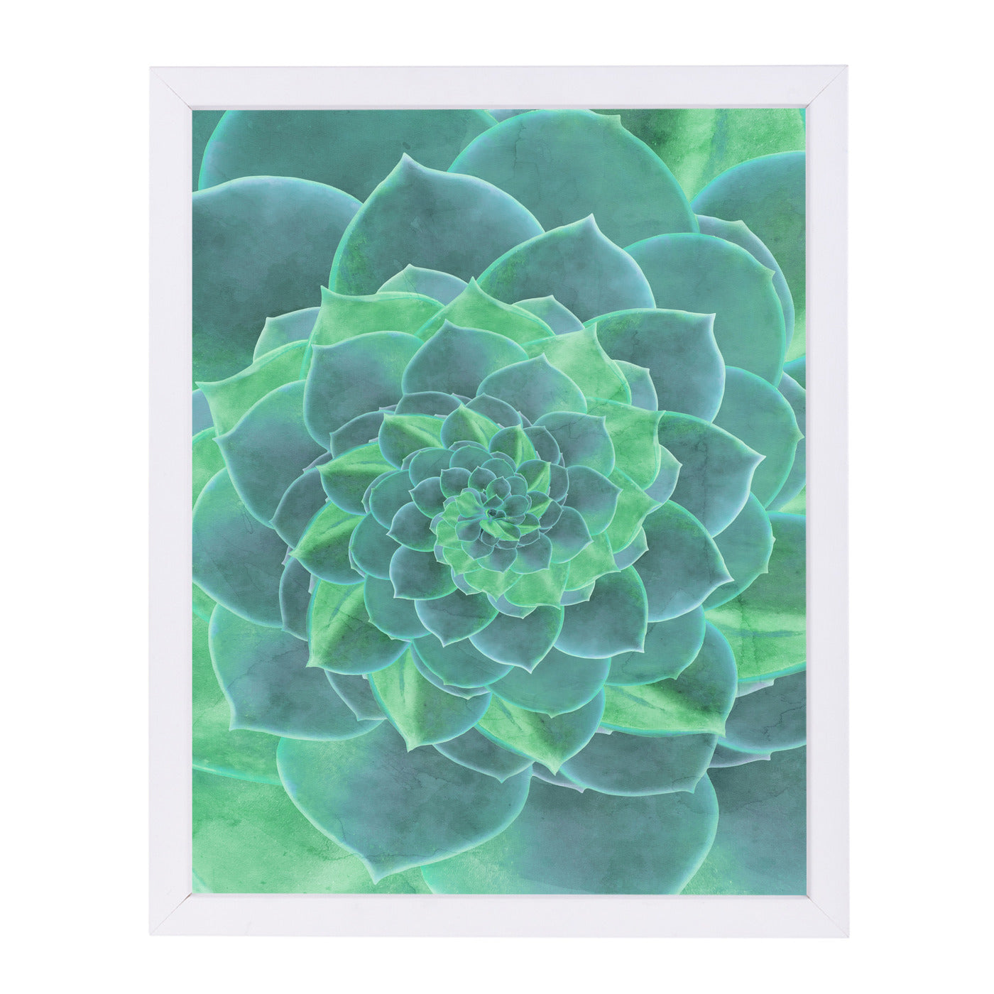 Geometric Succulent by Emanuela Carratoni Framed Print - Americanflat
