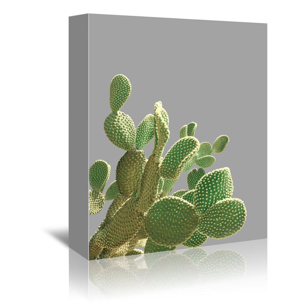 Minimal Cactus by Emanuela Carratoni Wrapped Canvas - Wrapped Canvas - Americanflat
