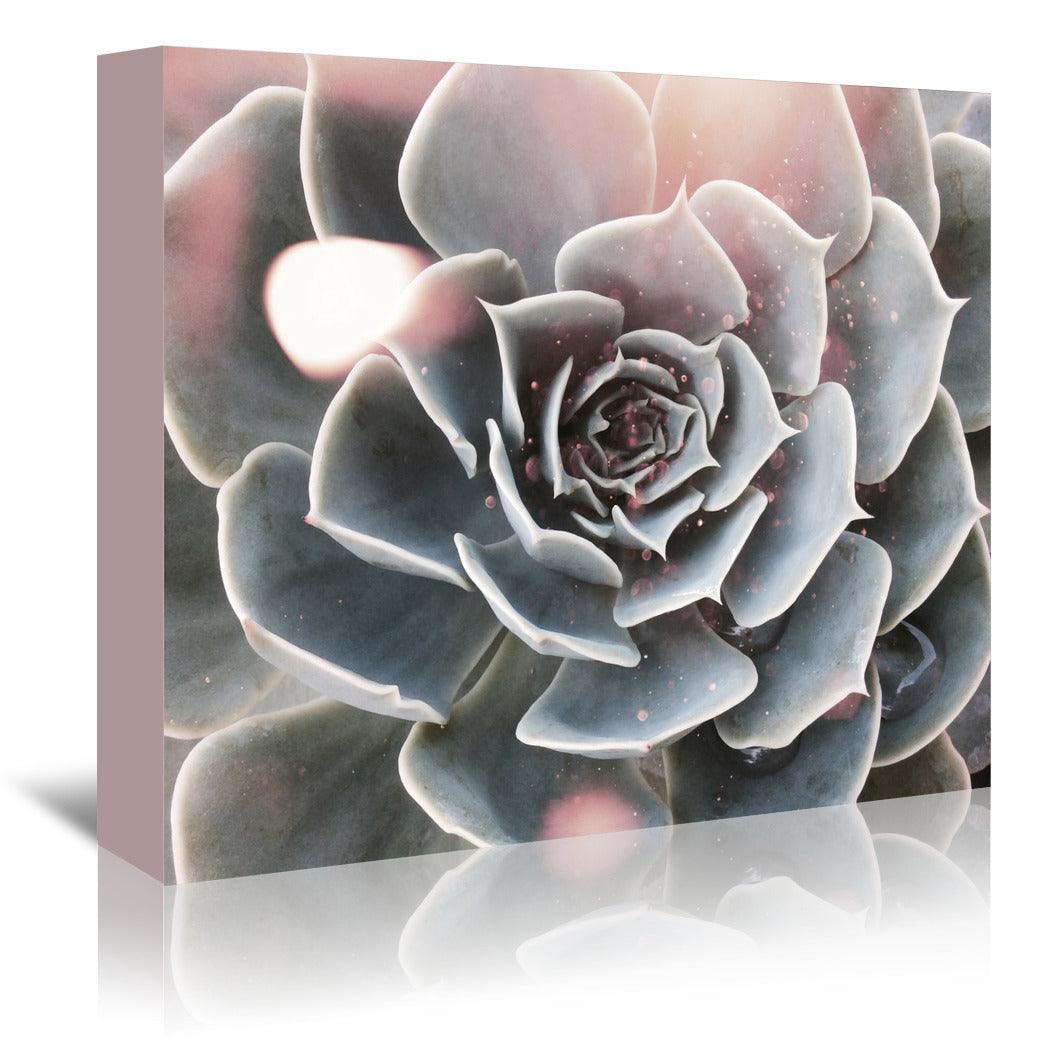 Shiny Succulent by Emanuela Carratoni Wrapped Canvas - Wrapped Canvas - Americanflat