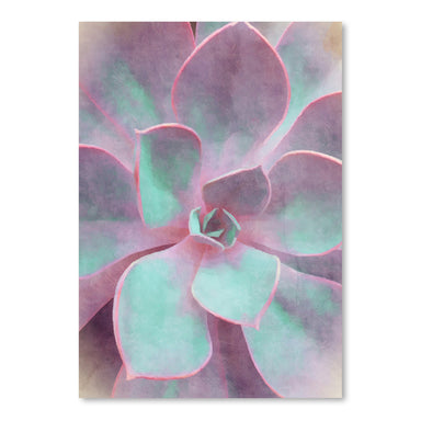 Sweet Succulent by Emanuela Carratoni Art Print - Art Print - Americanflat