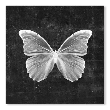 Butterfly In Black by Emanuela Carratoni Art Print - Art Print - Americanflat