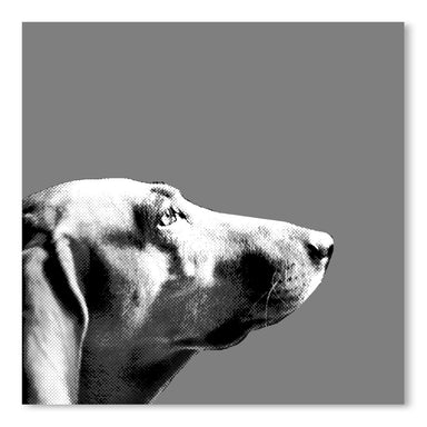 Italian Bloodhound Bw by Emanuela Carratoni Art Print - Art Print - Americanflat
