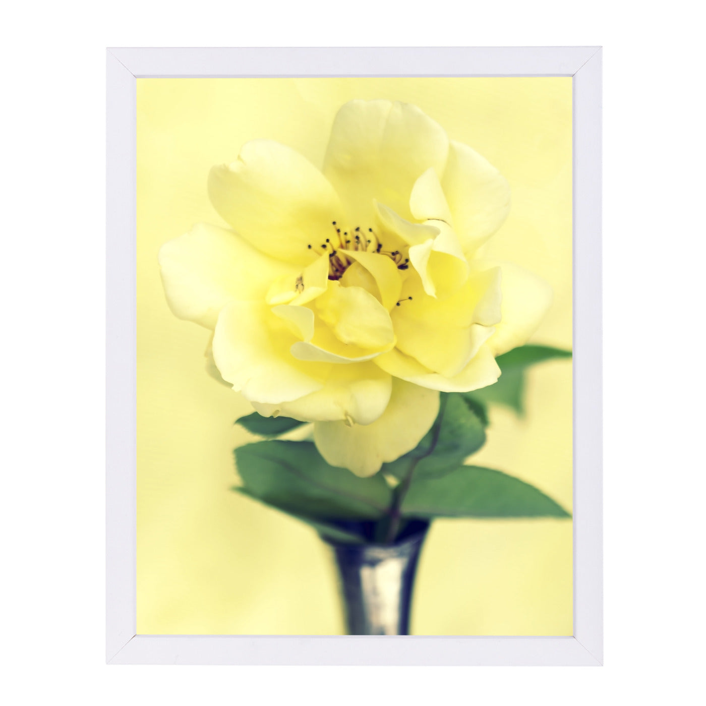 Yellow Rose In Vase by Mirja Paljakka Framed Print - Americanflat