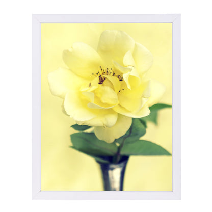 Yellow Rose In Vase by Mirja Paljakka Framed Print - Americanflat
