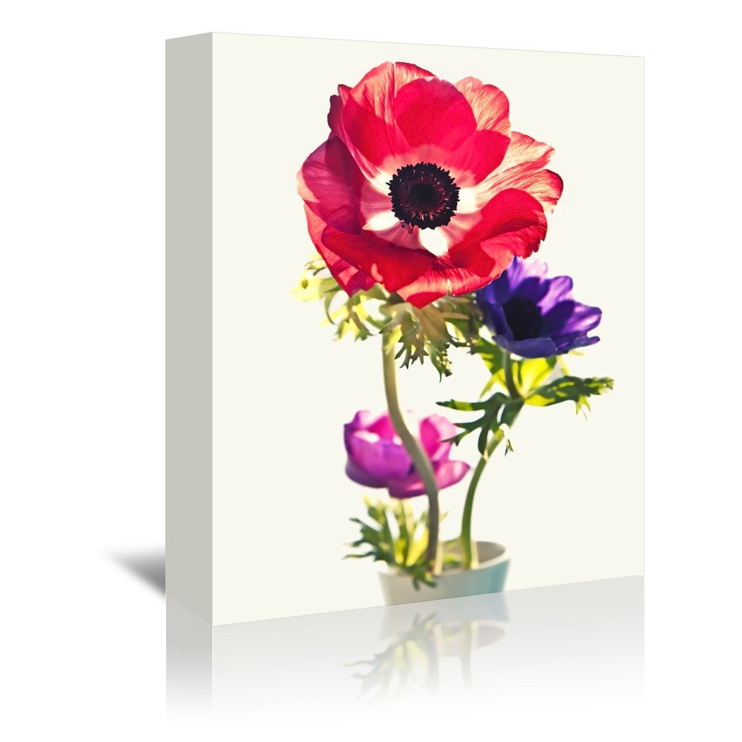 Anemones In Vase Bright Light by Mirja Paljakka Wrapped Canvas - Wrapped Canvas - Americanflat