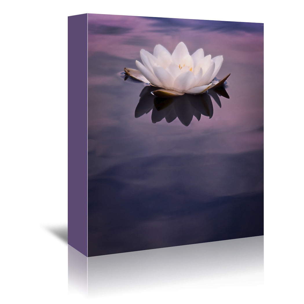 Water Lily On Dark Water by Mirja Paljakka Wrapped Canvas - Wrapped Canvas - Americanflat