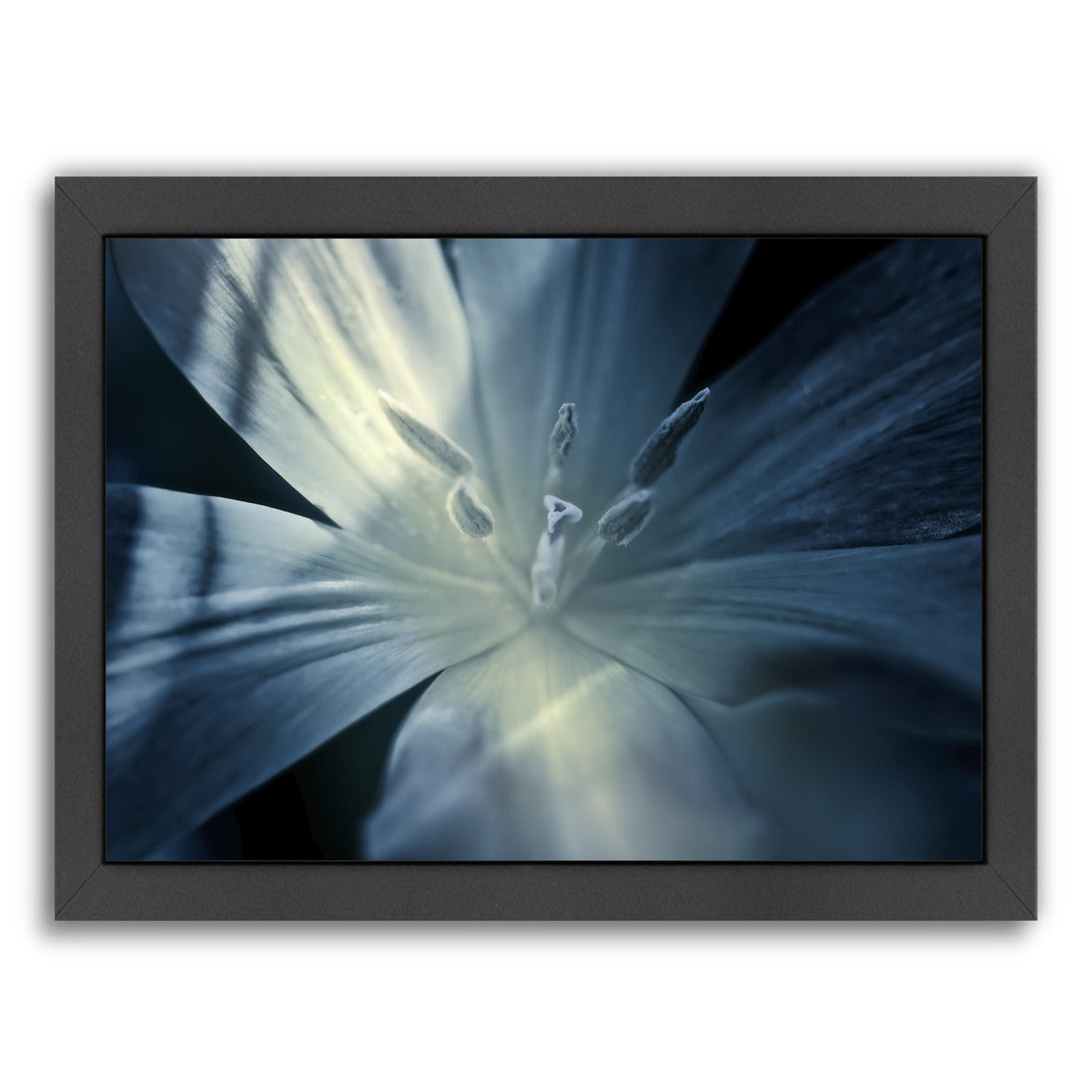 Mystique Tulip by Mirja Paljakka Framed Print - Americanflat