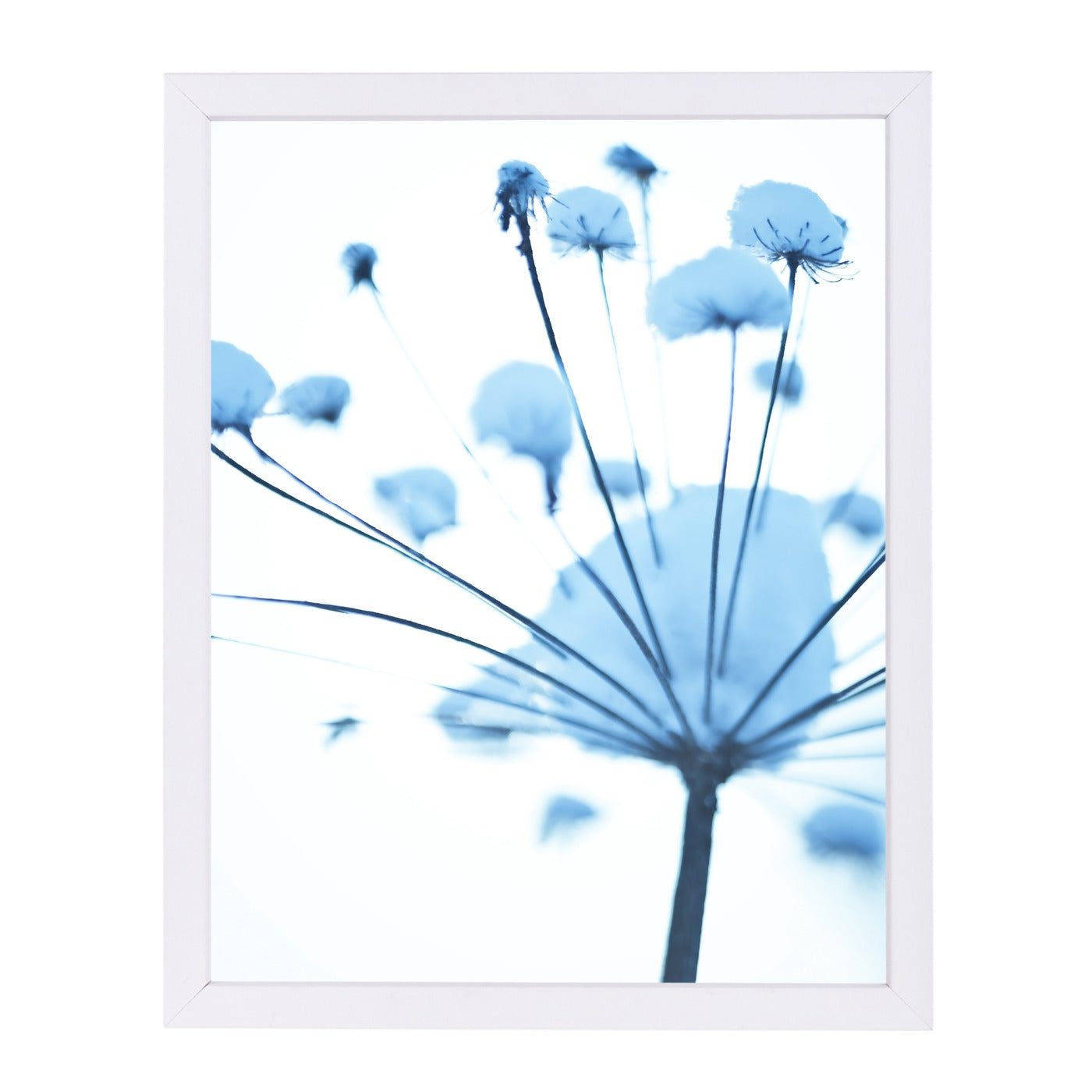 Winter 10 by Mirja Paljakka Framed Print - Americanflat