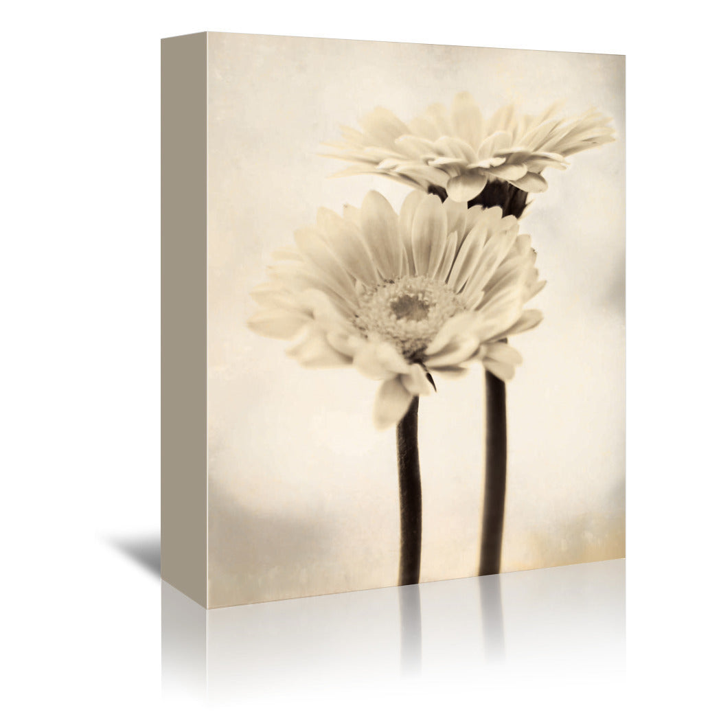 Two Gerberas by Mirja Paljakka Wrapped Canvas - Wrapped Canvas - Americanflat