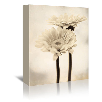 Two Gerberas by Mirja Paljakka Wrapped Canvas - Wrapped Canvas - Americanflat