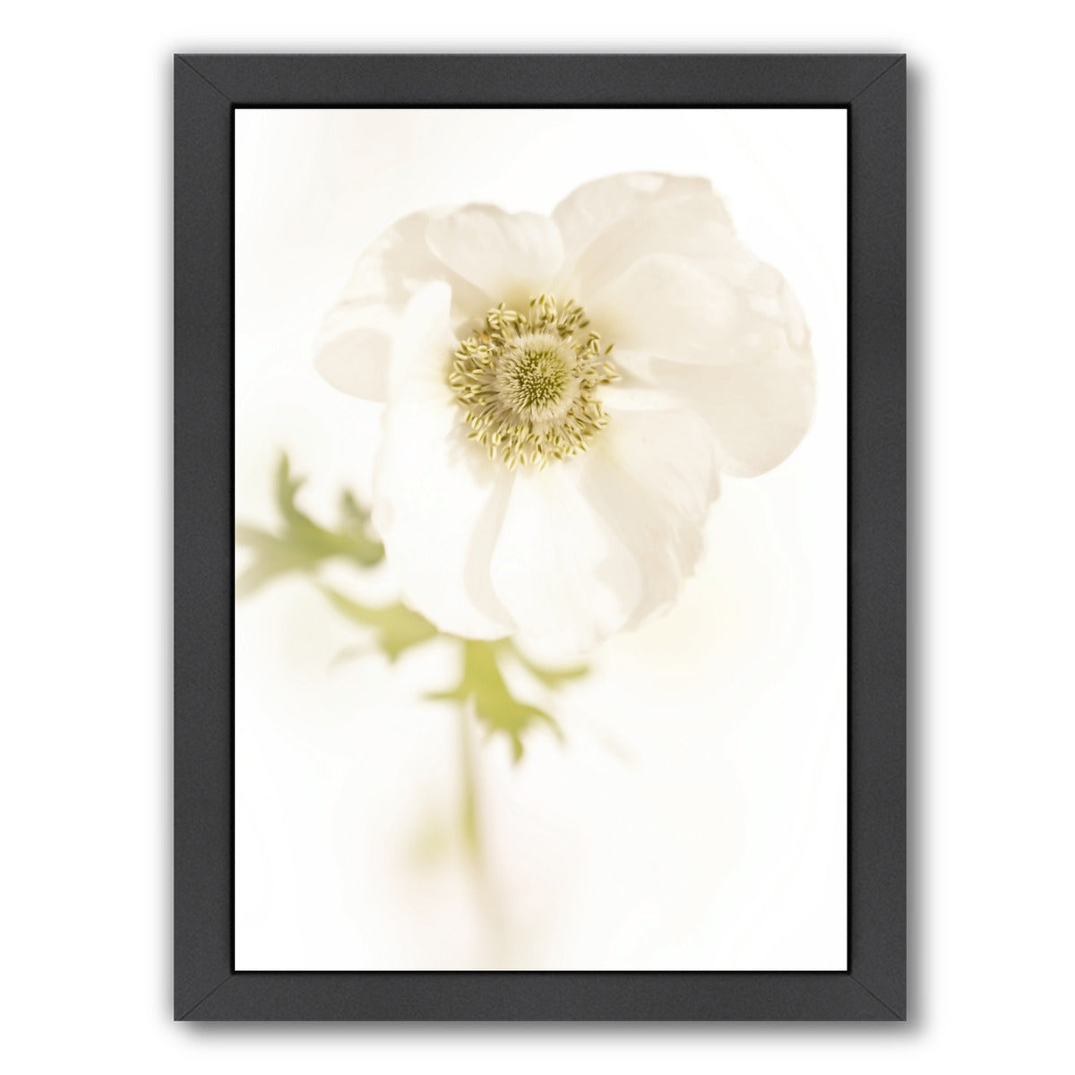White Delicate Flower by Mirja Paljakka Framed Print - Americanflat