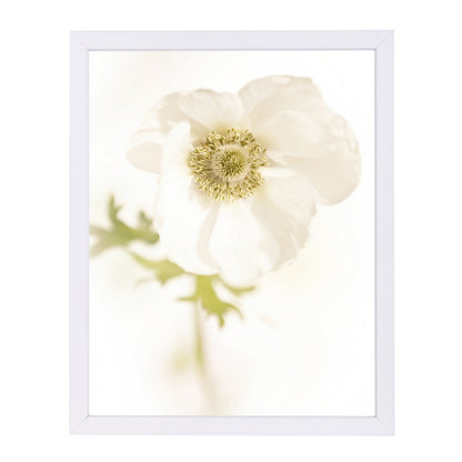 White Delicate Flower by Mirja Paljakka Framed Print - Americanflat