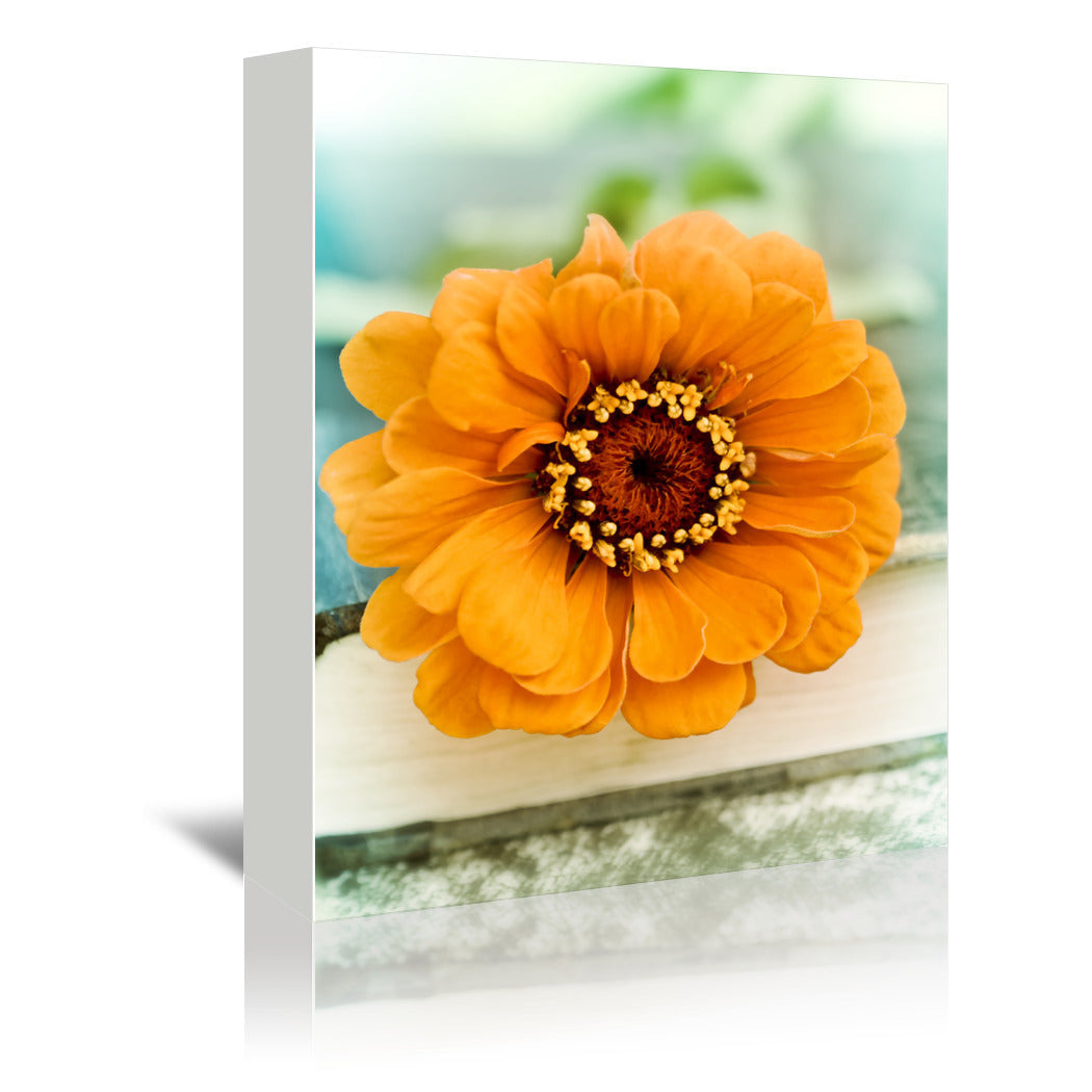 Orange Zinnia On Book by Mirja Paljakka Wrapped Canvas - Wrapped Canvas - Americanflat