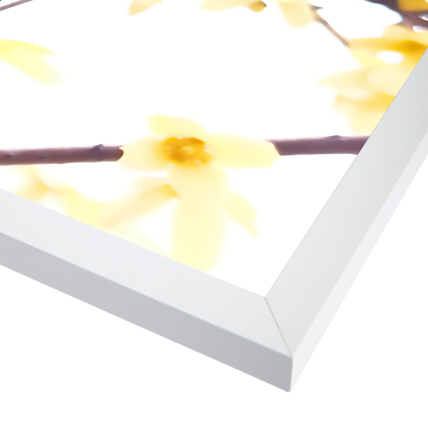 Forsythia Branches by Mirja Paljakka Framed Print - Americanflat