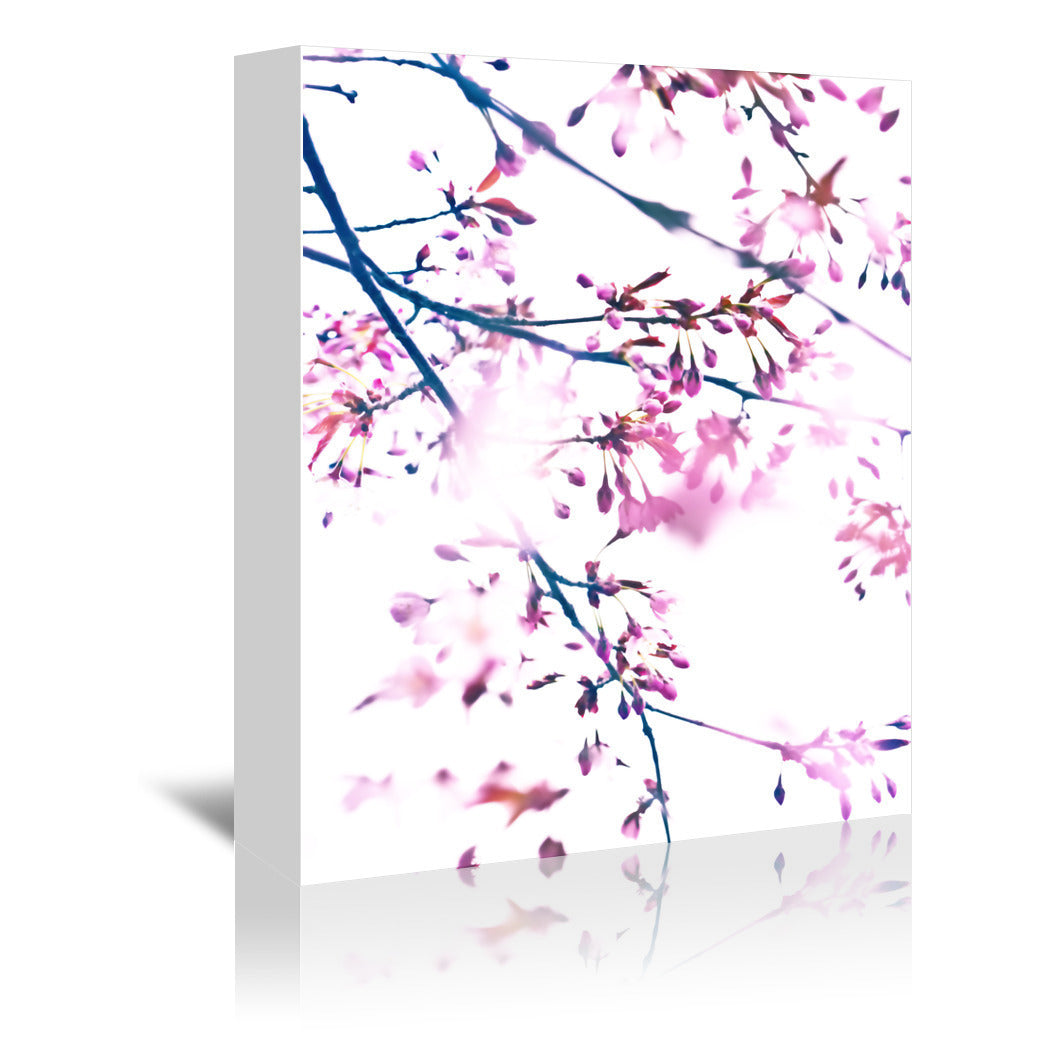 Cherry Blossom 7 by Mirja Paljakka Wrapped Canvas - Wrapped Canvas - Americanflat