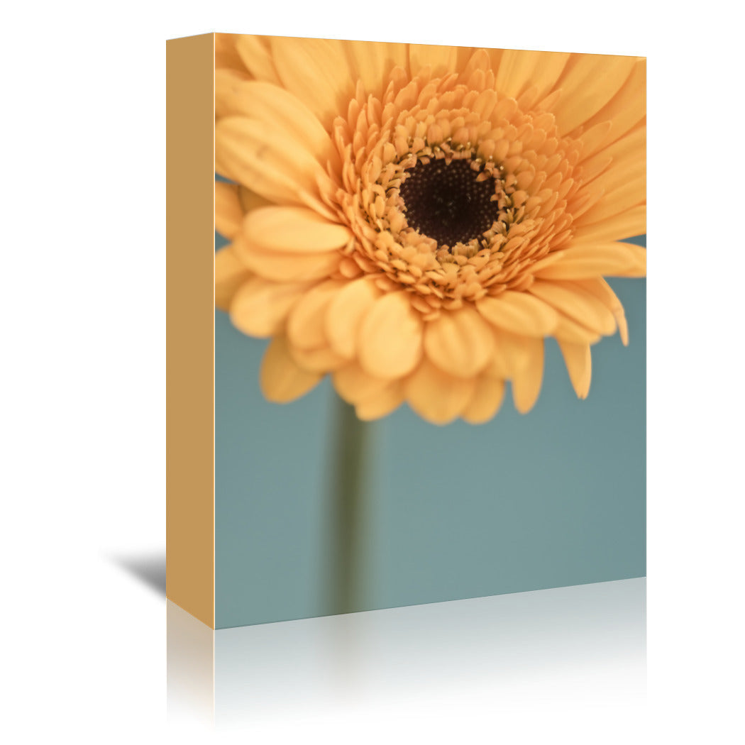 Gerbera 11 by Mirja Paljakka Wrapped Canvas - Wrapped Canvas - Americanflat