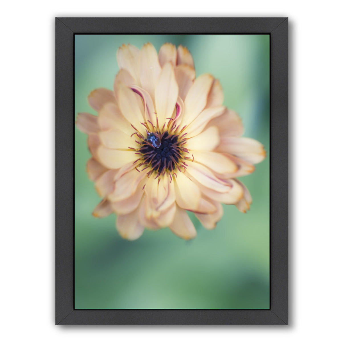 Light Yellow Flower by Mirja Paljakka Framed Print - Americanflat