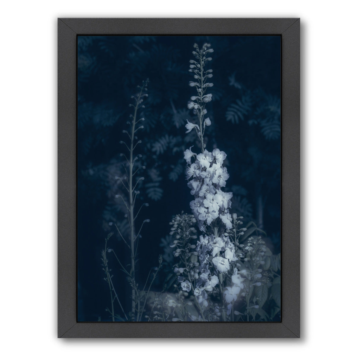 Cyanotype Flowers by Mirja Paljakka Framed Print - Americanflat