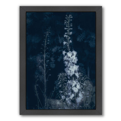 Cyanotype Flowers by Mirja Paljakka Framed Print - Americanflat