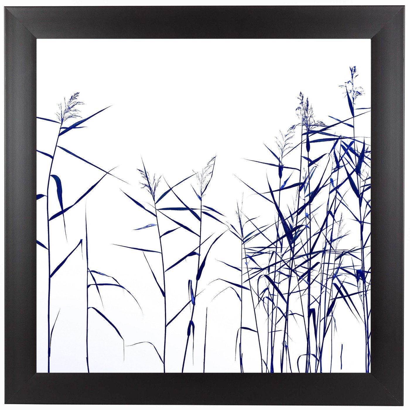 Blue Reeds on White by Mirja Paljakka Framed Print - Americanflat