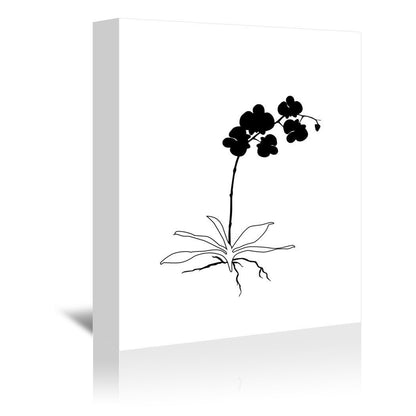 Black Orchid by Explicit Design Wrapped Canvas - Wrapped Canvas - Americanflat