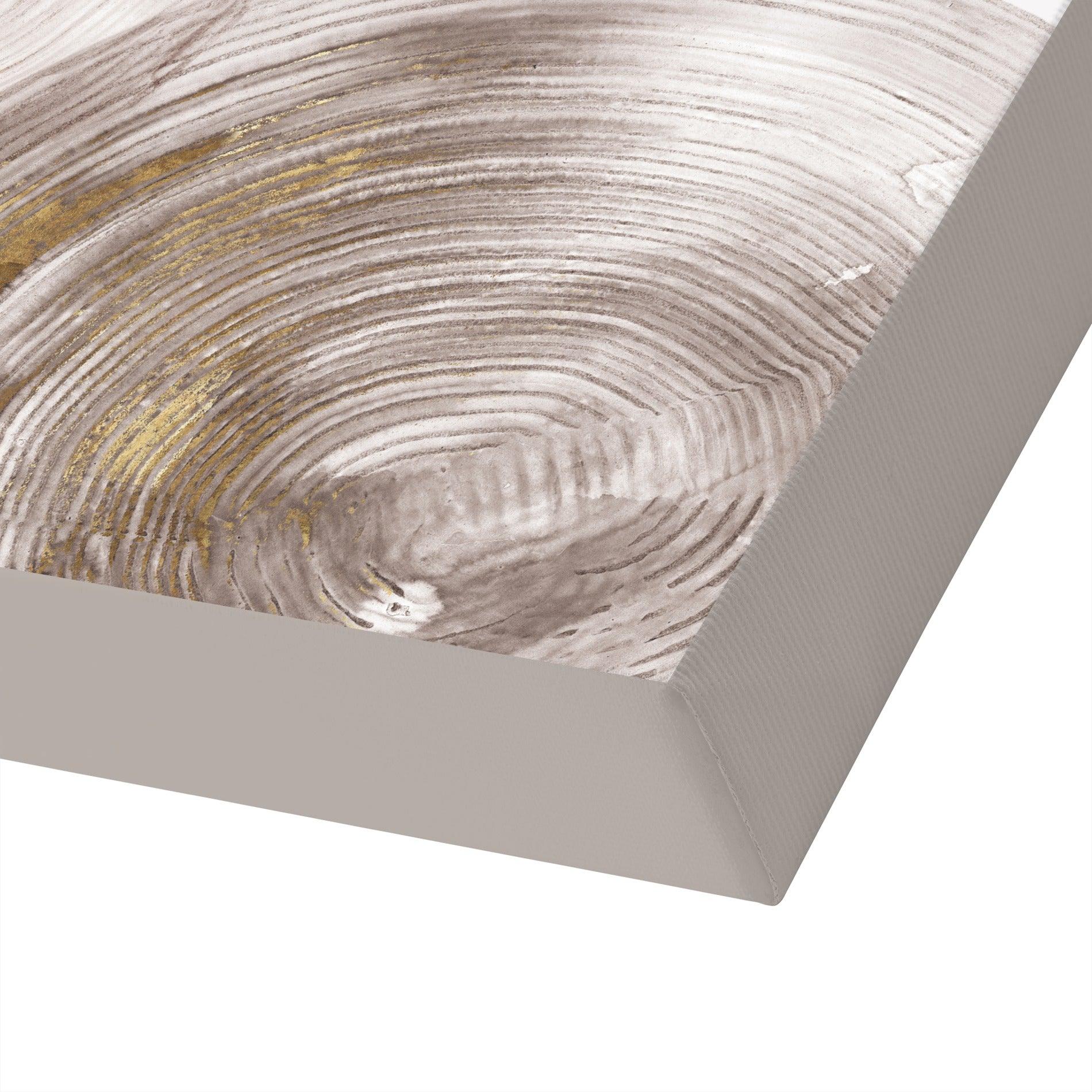 Spiral Rings Ii by PI Creative Art - Wrapped Canvas - Americanflat
