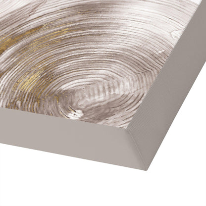 Spiral Rings Ii by PI Creative Art - Wrapped Canvas - Americanflat