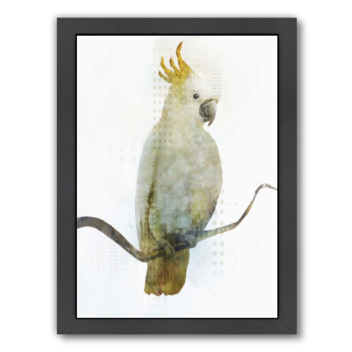 Cockatoo by PI Creative Art Framed Print - Americanflat