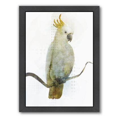 Cockatoo by PI Creative Art Framed Print - Americanflat