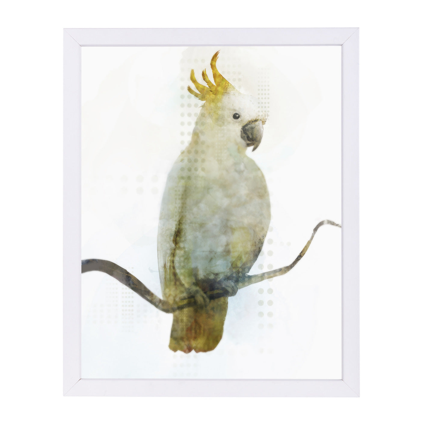 Cockatoo by PI Creative Art Framed Print - Americanflat