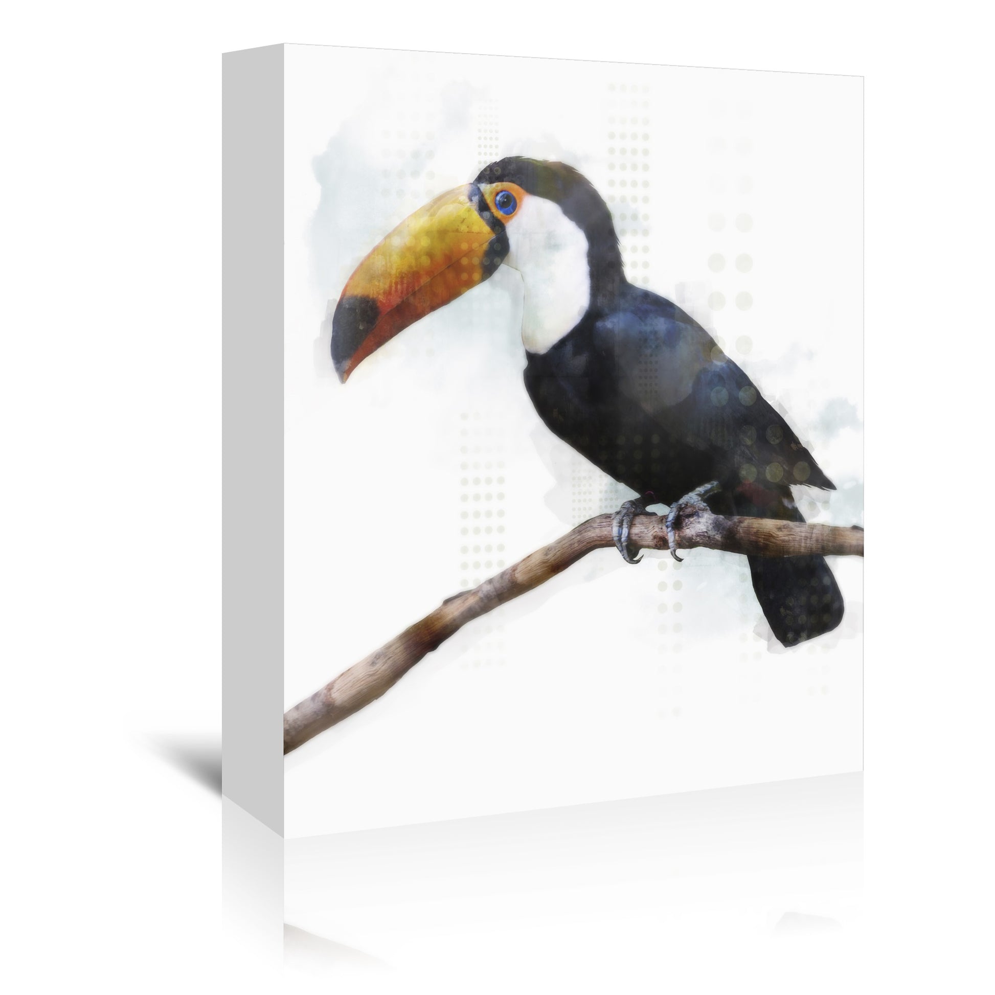 Toucantoco by PI Creative Art - Wrapped Canvas - Americanflat