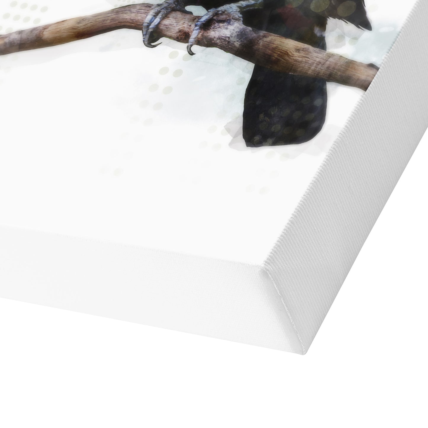 Toucantoco by PI Creative Art - Wrapped Canvas - Americanflat
