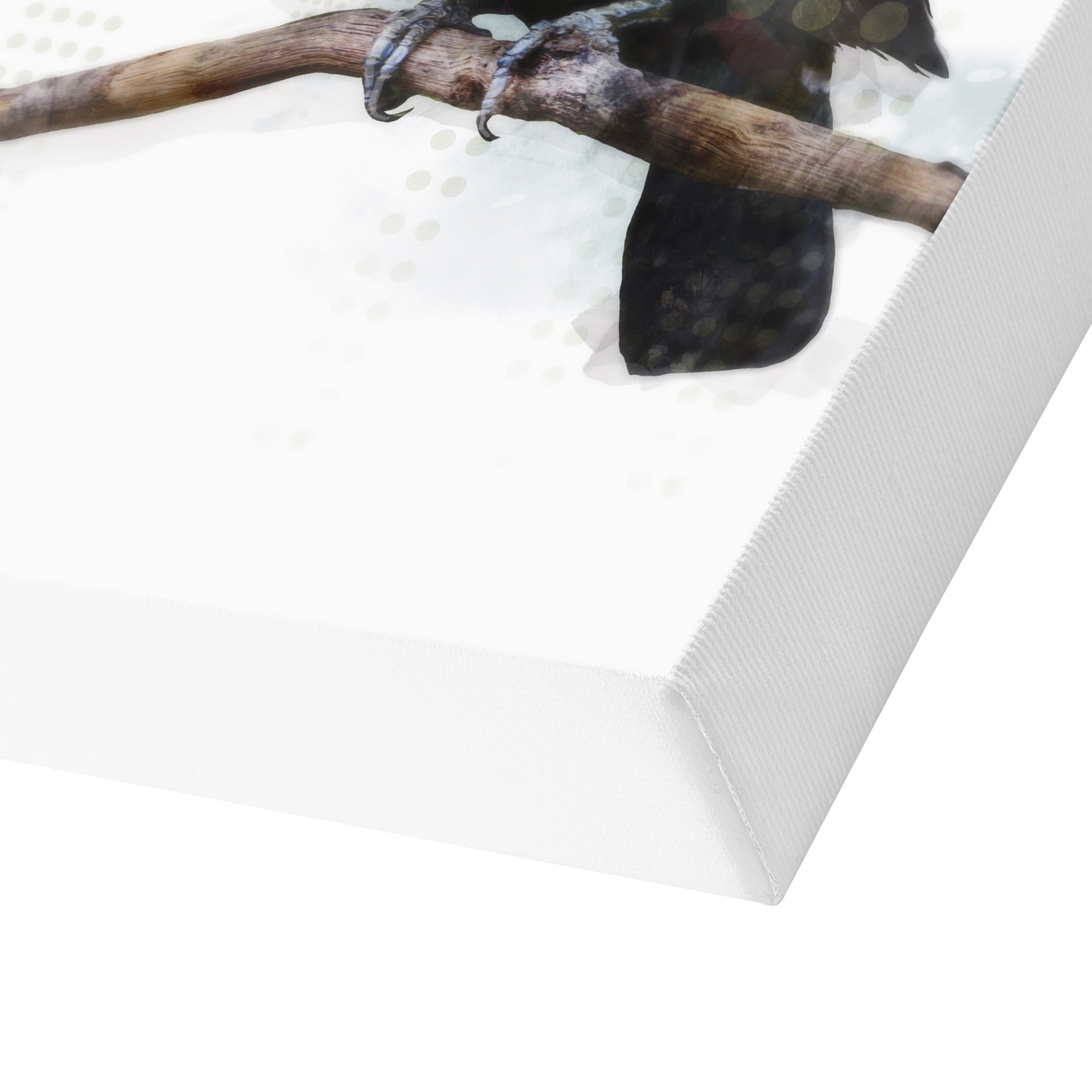 Toucantoco by PI Creative Art - Wrapped Canvas - Americanflat