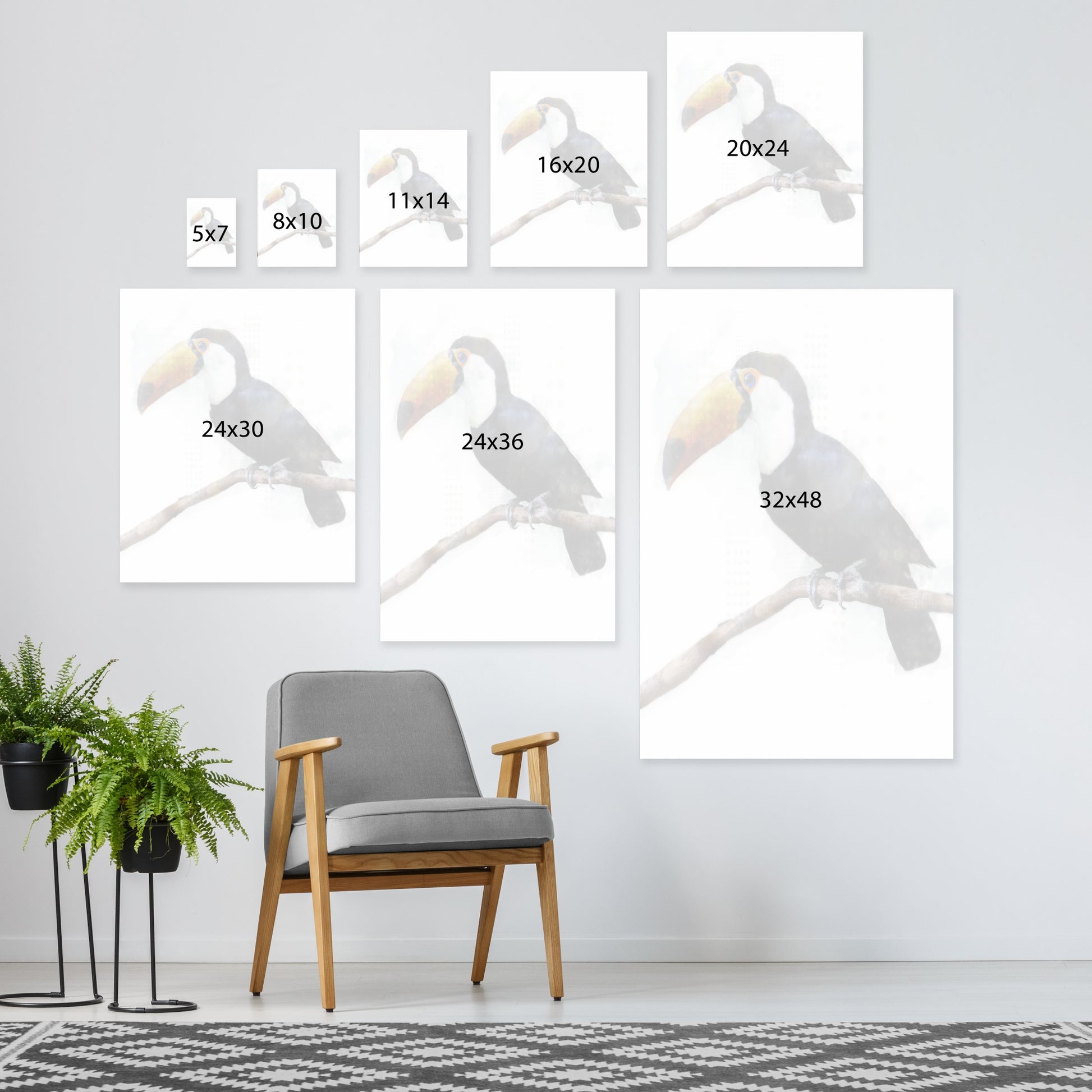 Toucantoco by PI Creative Art - Wrapped Canvas - Americanflat