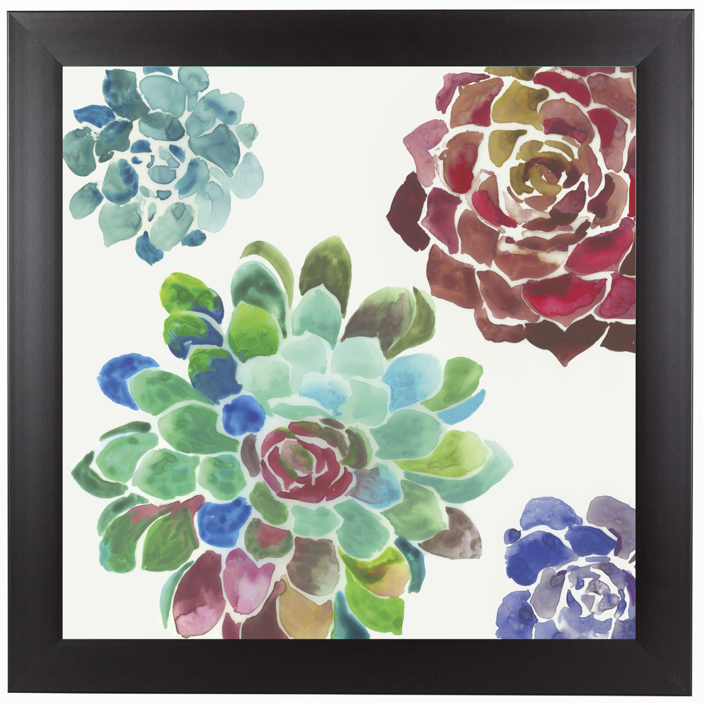 Water Succulents I by PI Creative Art Framed Print - Americanflat