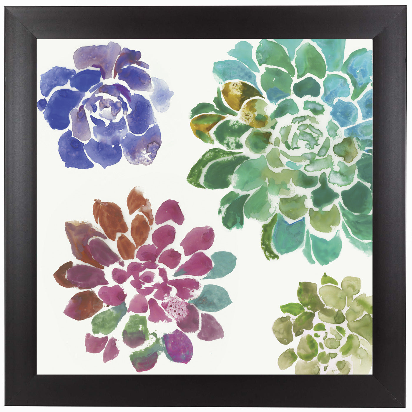 Water Succulents Ii by PI Creative Art Framed Print - Americanflat