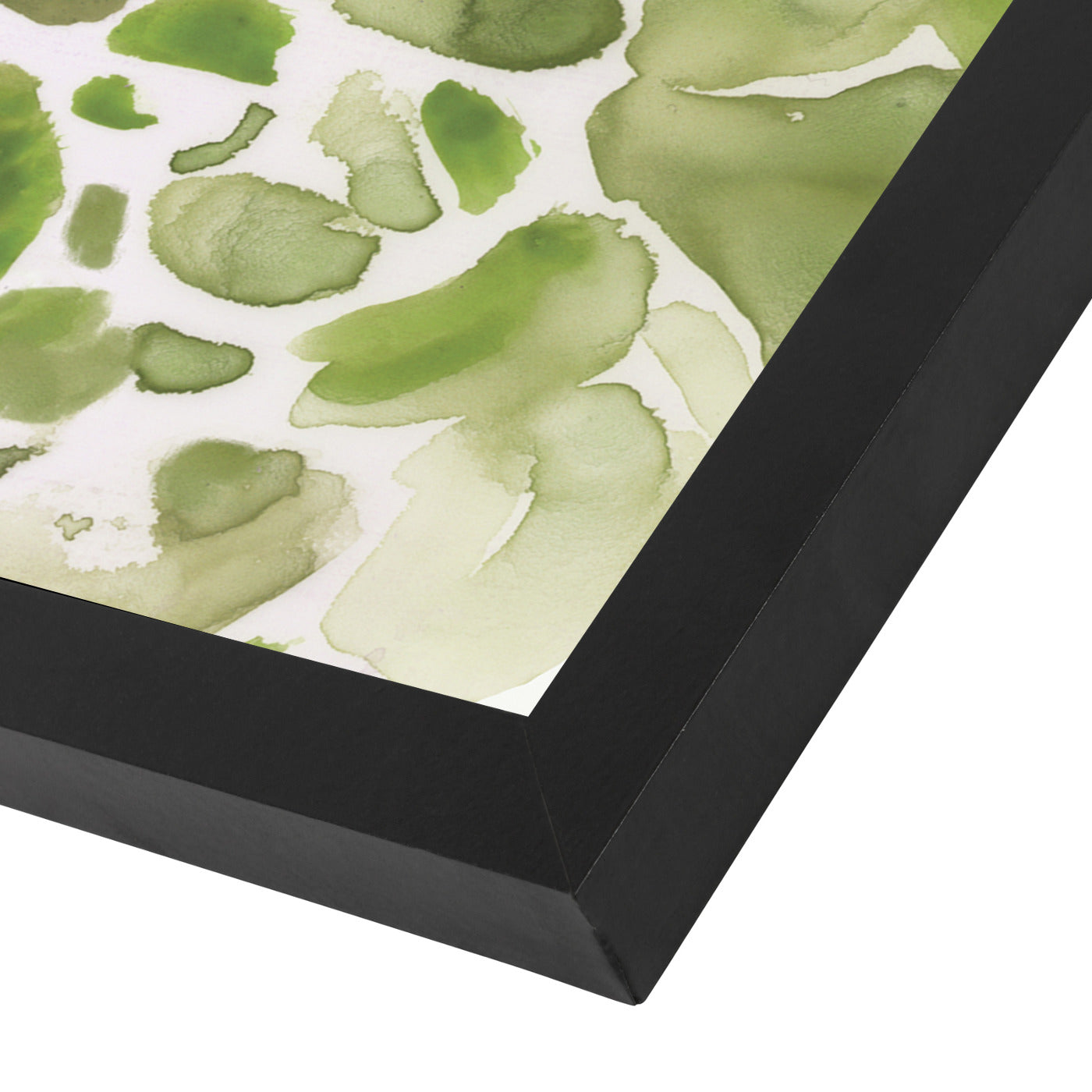 Water Succulents Ii by PI Creative Art Framed Print - Americanflat