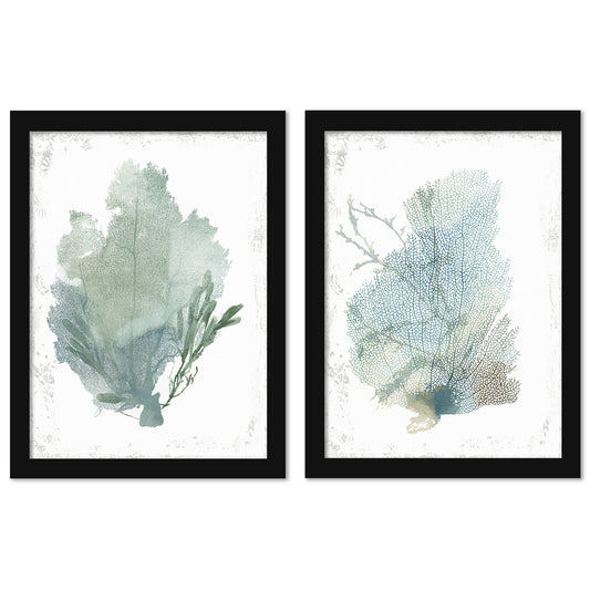 Teal Delicate Coral by PI Creative Art - 2 Piece Framed Print Set - Americanflat