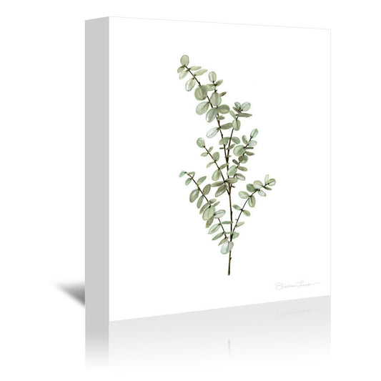 Baby Blue Eucalyptus by Shealeen Louise Wrapped Canvas - Wrapped Canvas - Americanflat