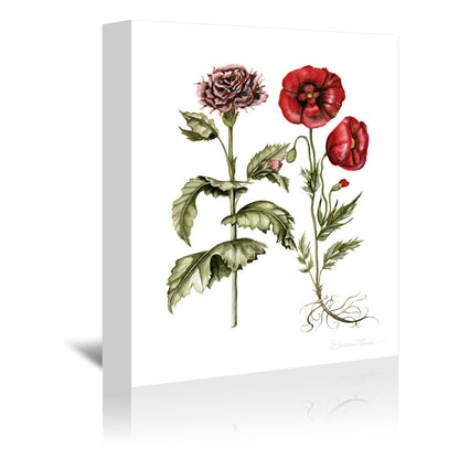 Carnation And Poppies by Shealeen Louise Wrapped Canvas - Wrapped Canvas - Americanflat
