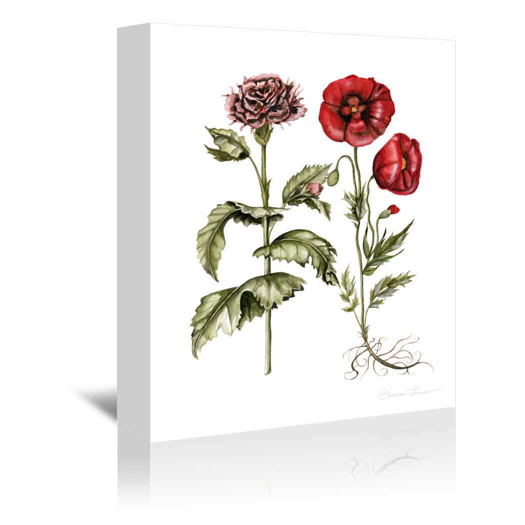 Carnation And Poppies by Shealeen Louise Wrapped Canvas - Wrapped Canvas - Americanflat