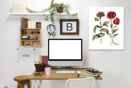 Carnation And Poppies by Shealeen Louise Wrapped Canvas - Wrapped Canvas - Americanflat
