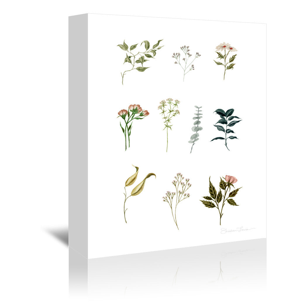 Delicate Botanical Pieces by Shealeen Louise Wrapped Canvas - Wrapped Canvas - Americanflat