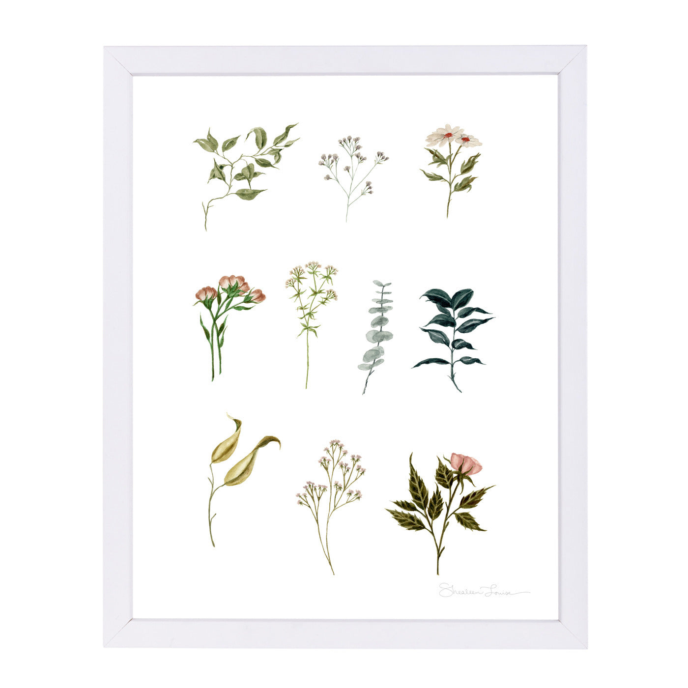 Delicate Botanica Pieces by Shealeen Louise Framed Print - Americanflat